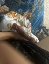 Фотография №3693228