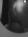 Фотография №3719897
