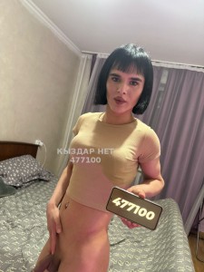 Транс Алматы Транс№477100 София Фотография №3605424